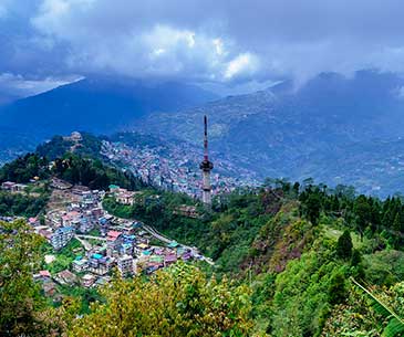 DARJEELING & GANGTOK & KALIMPONG