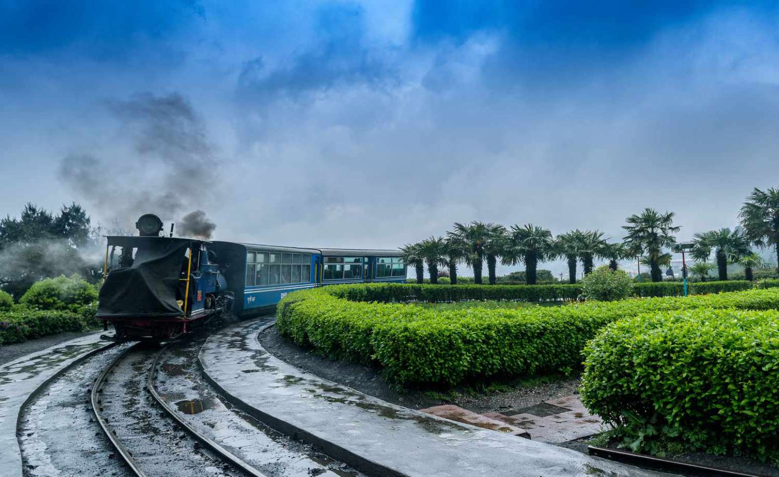 Darjeeling & Gangtok